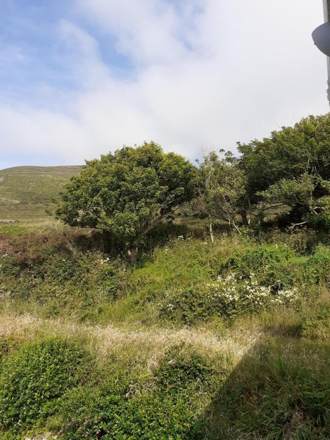 Gleann Loic Farmhouse Dingle Exterior photo