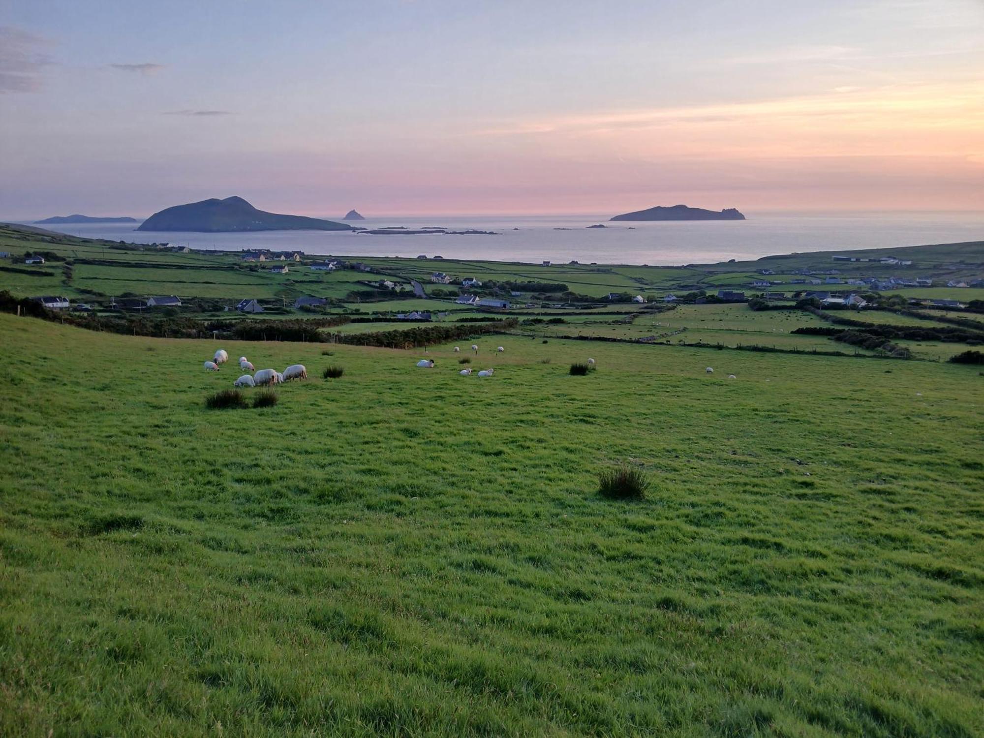 Gleann Loic Farmhouse Dingle Exterior photo